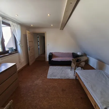 Apartment Duck